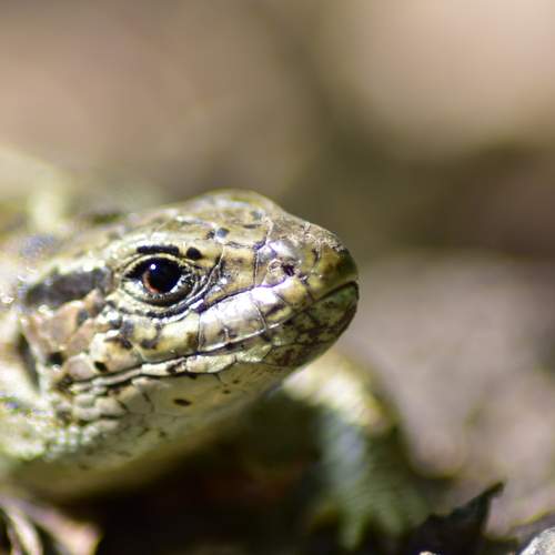 Photo #9140617