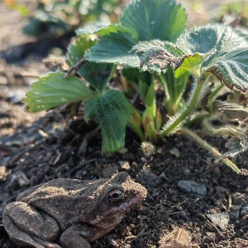 Photo #9140726