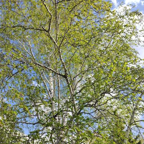 Photo #9140943