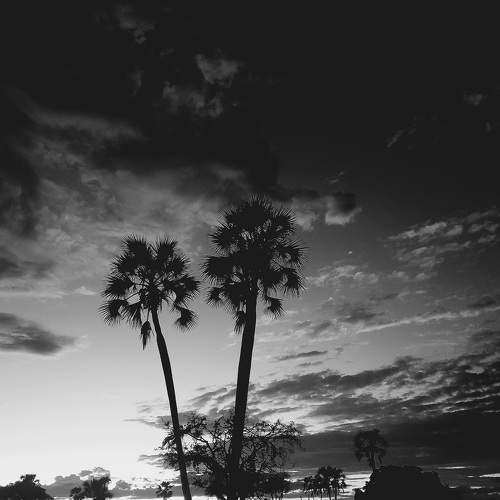 Photo #9141628
