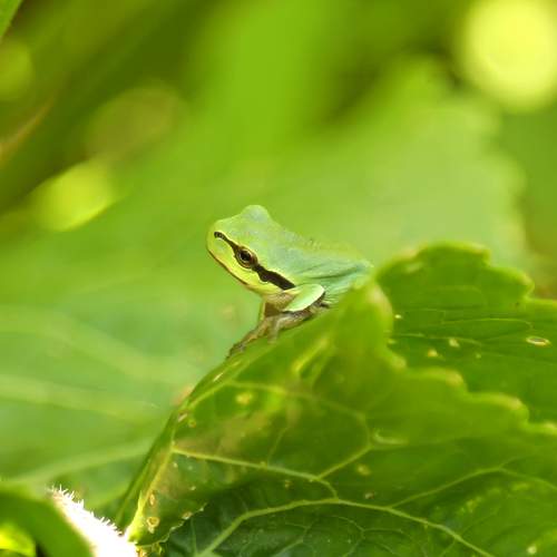 Photo #9141897