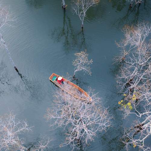 Фотография #9142144