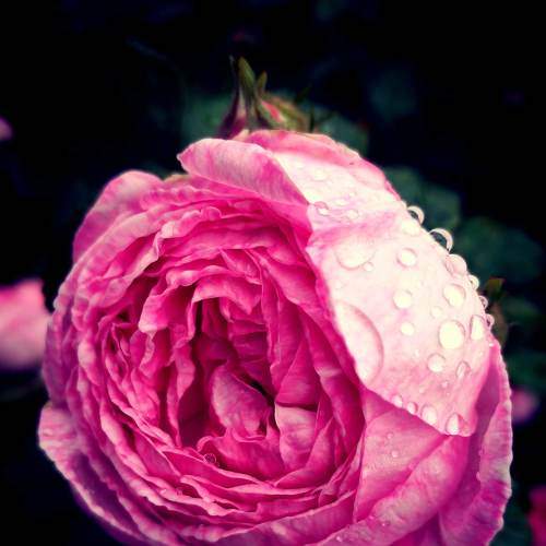 Photo #9142597