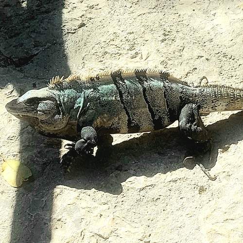 Photo #9144393