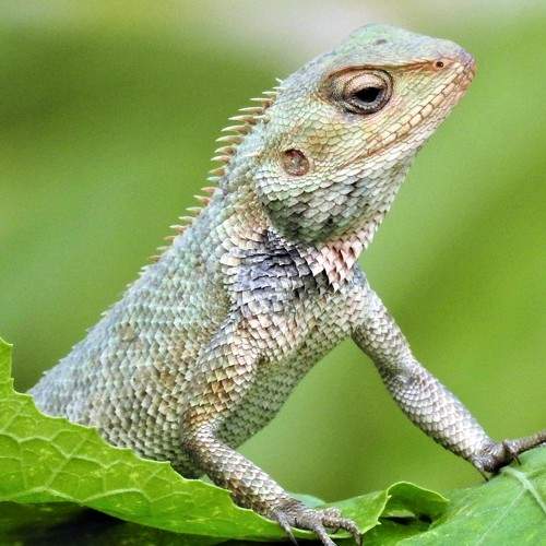 Photo #9144534