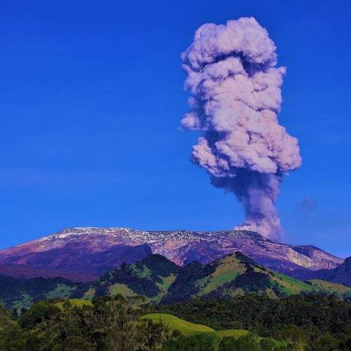 Photo #9144800