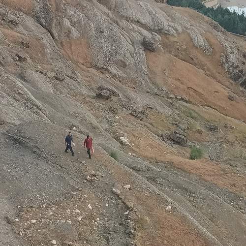 Photo #9145093