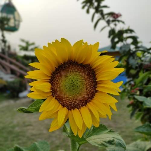 Photo #9145418