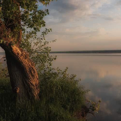 Фотография #9145992