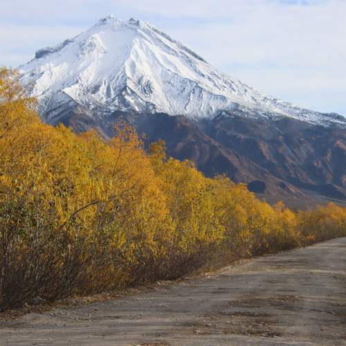 Photo #9146030
