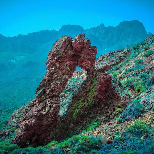 Photo #9146034