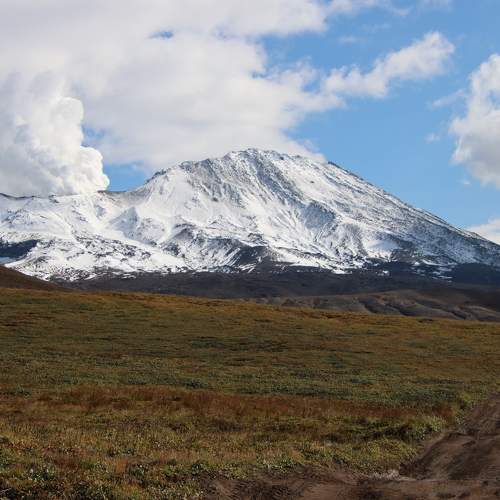 Photo #9146072