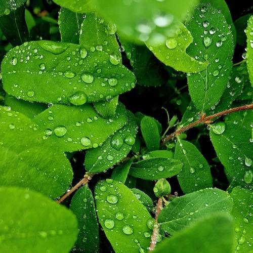 Photo #9147284