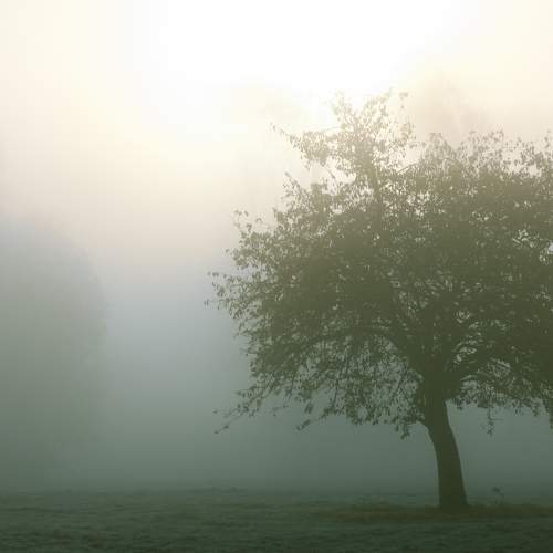 Photo #9149579