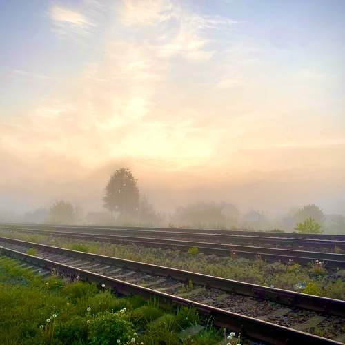 Photo #9150504