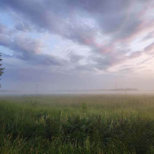 Photo #9150638