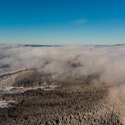 Photo #9151039