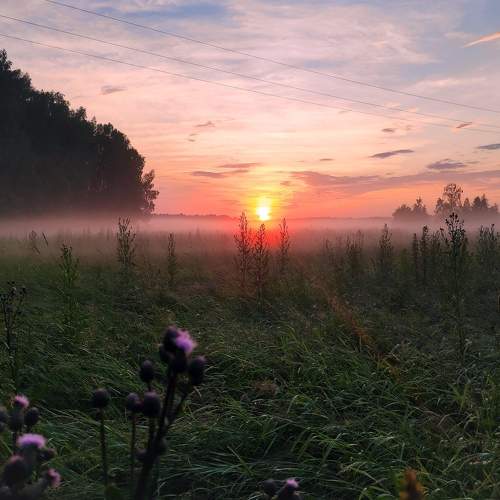 Photo #9151452
