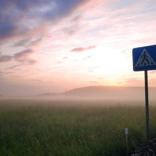 Photo #9151453