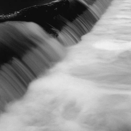 Photo #9151648