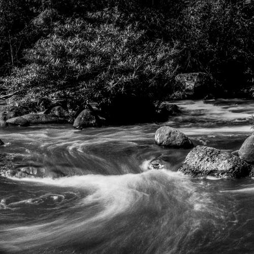Photo #9151659