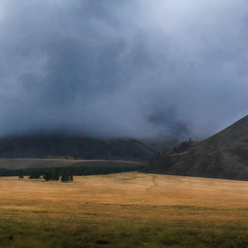 Photo #9151661