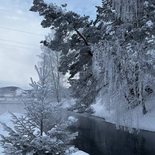 Photo #9152279