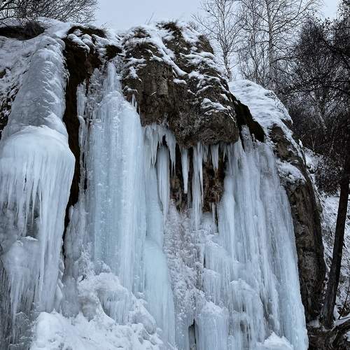Photo #9152280