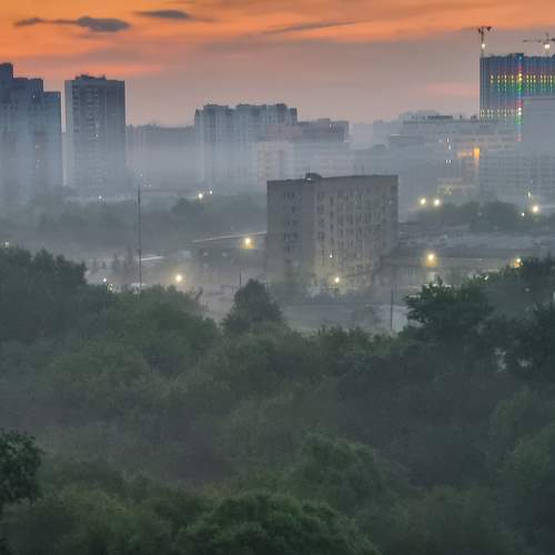 Photo #9153994