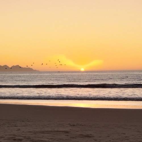 Photo #9154817