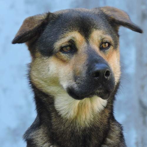 Photo #9154919