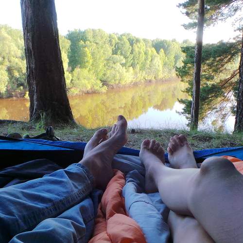 Photo #9155065