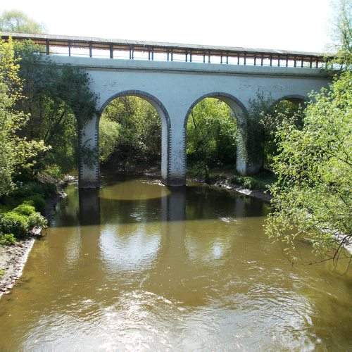 Photo #9155410