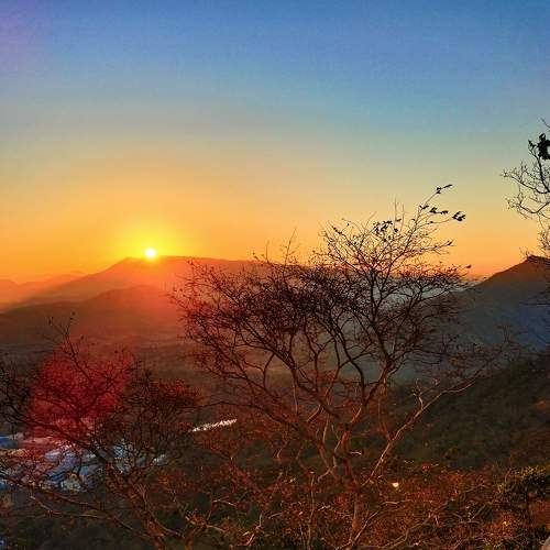 Sunlight landscape