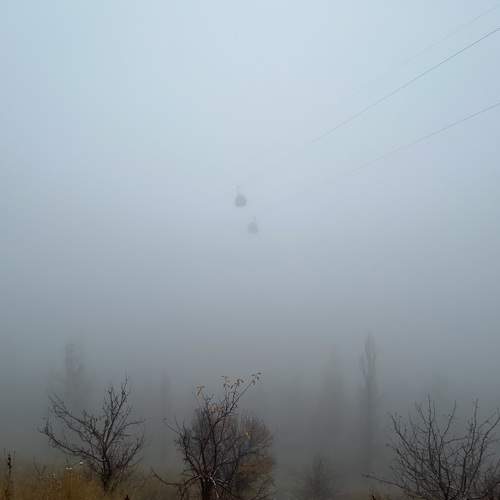 Photo #9155923