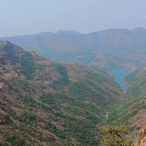 Photo #9155961