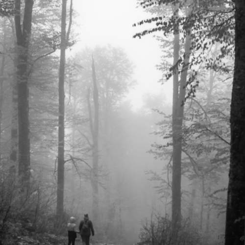 Photo #9156286