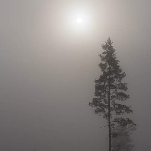 Photo #9156299