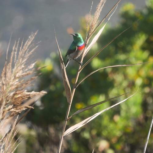 Photo #9156481