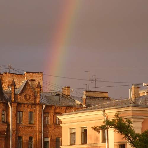 Photo #9156955