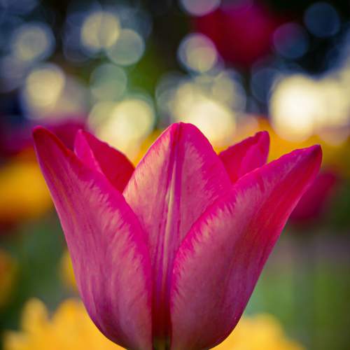 Photo #9157461