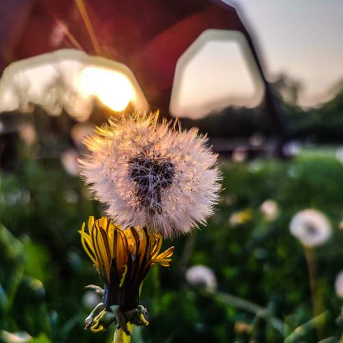 Photo #9157734