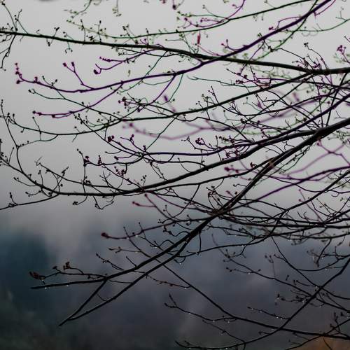 Photo #9157853