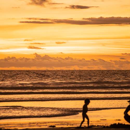 Photo #9158141
