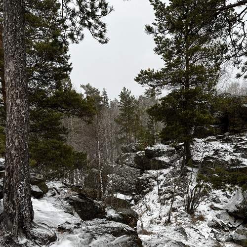 Photo #9159131