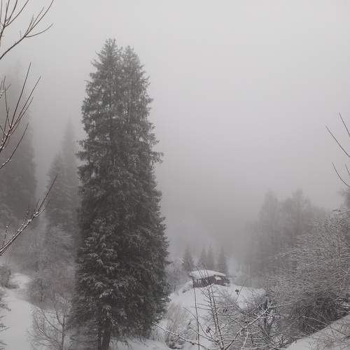 Photo #9159581