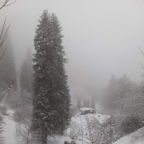 Photo #9159582