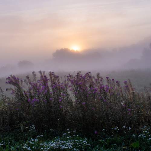 Photo #9159714