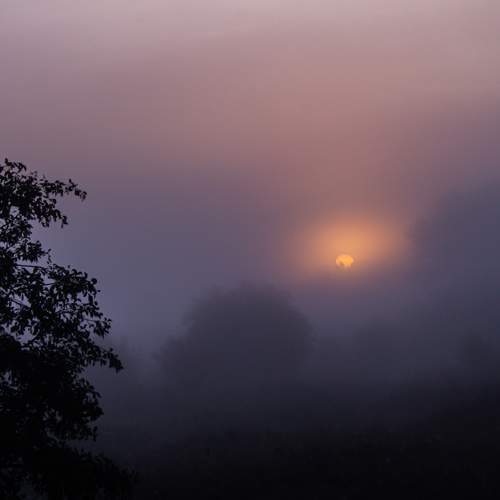 Photo #9159719