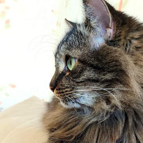 Photo #9160059